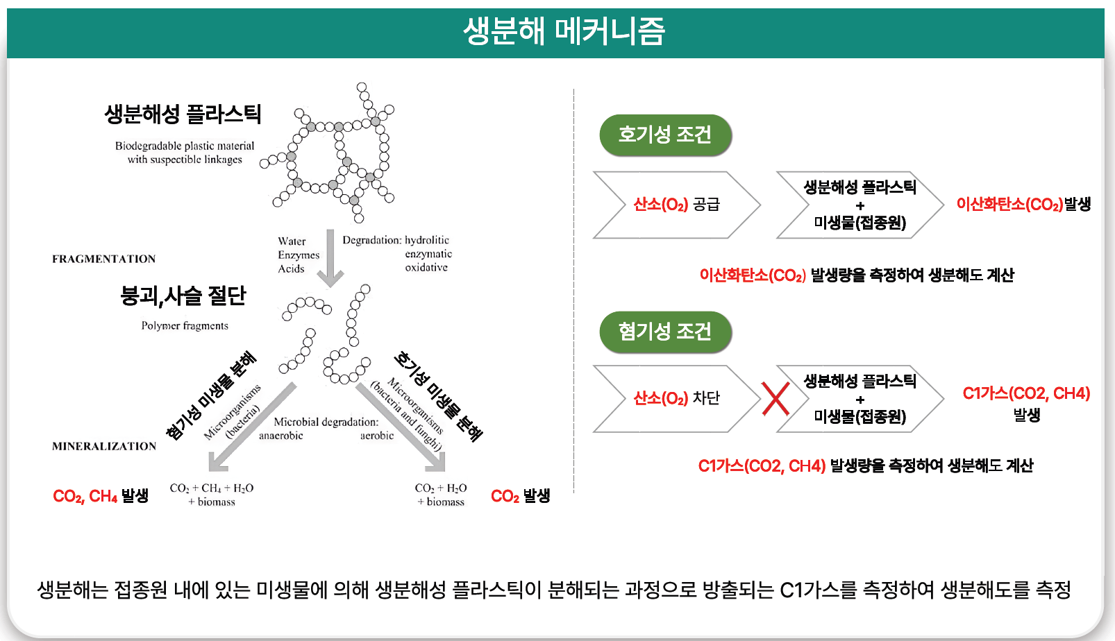 생분해 메커니즘 도식