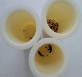 중금속 분석 이미지 1