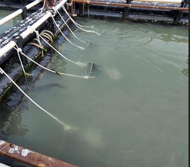 해양 실환경 시설